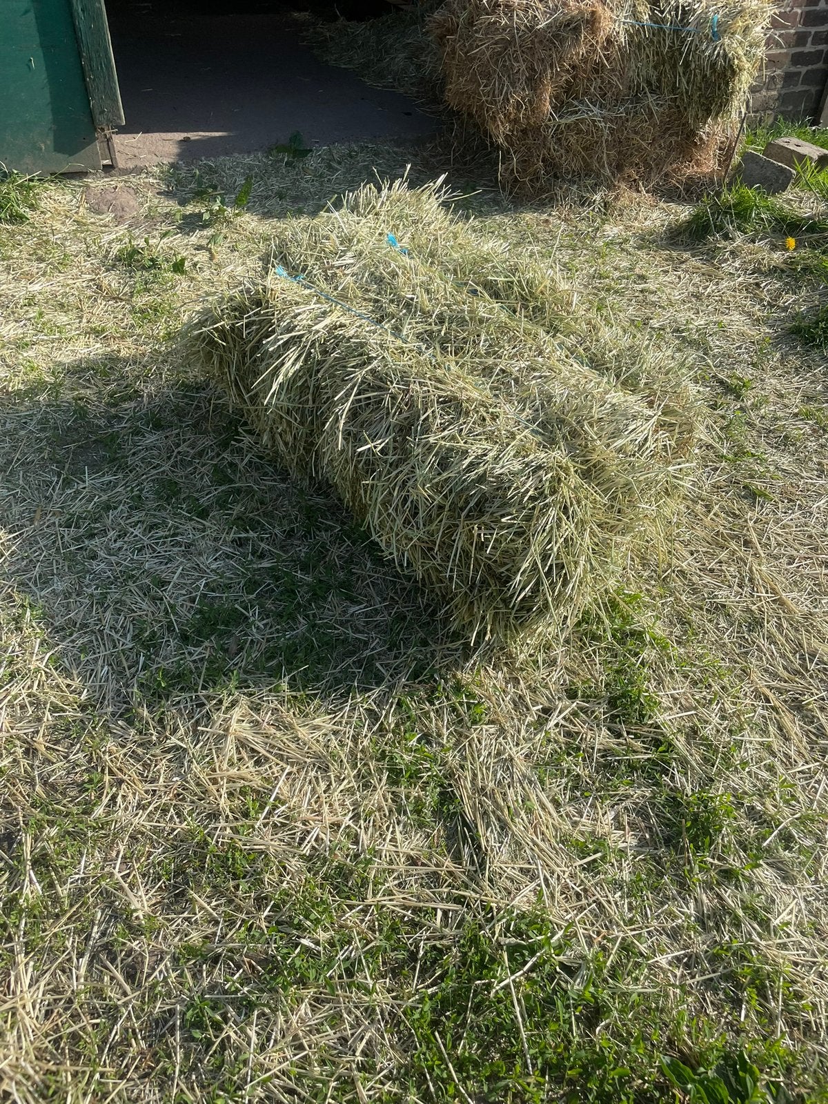 Kleine balen hooi, Jardin & Terrasse, Gazon & Gazon artificiel, Enlèvement, Neuf, Herbe