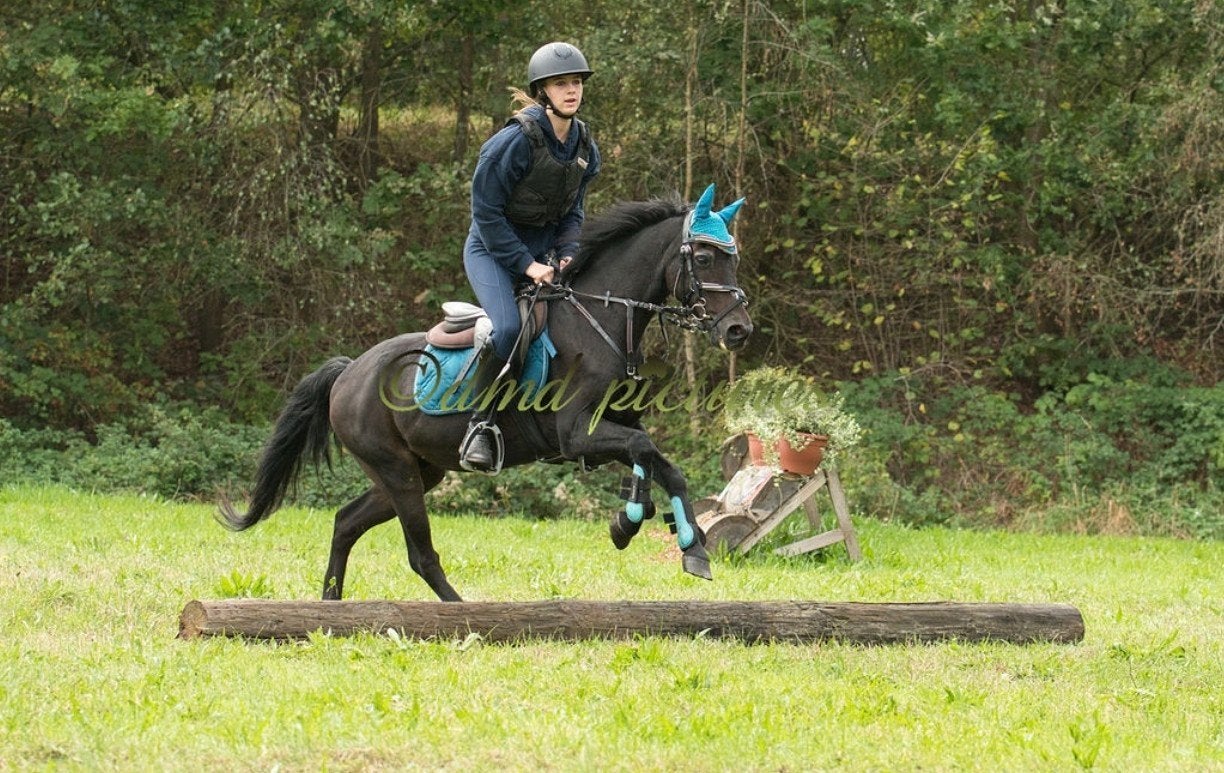 leuke, lieve kinder pony, Gechipt, B, Ruin, C pony (1.27m tot 1.37m)