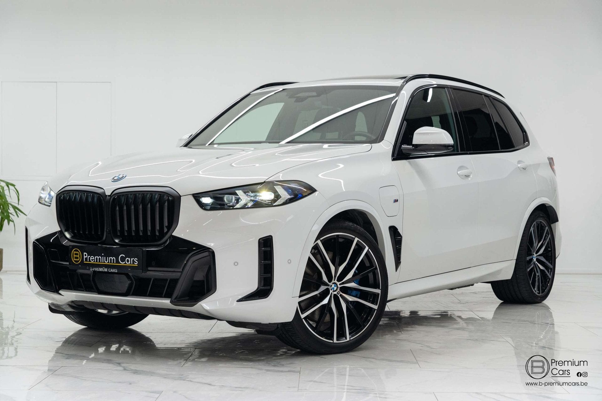 BMW X5 50e hybrid M pro pack! Pano, H&K, Acc, Hud! Sfeer!, Auto's, Automaat, Dealer onderhouden, Gebruikt, 3200 kg