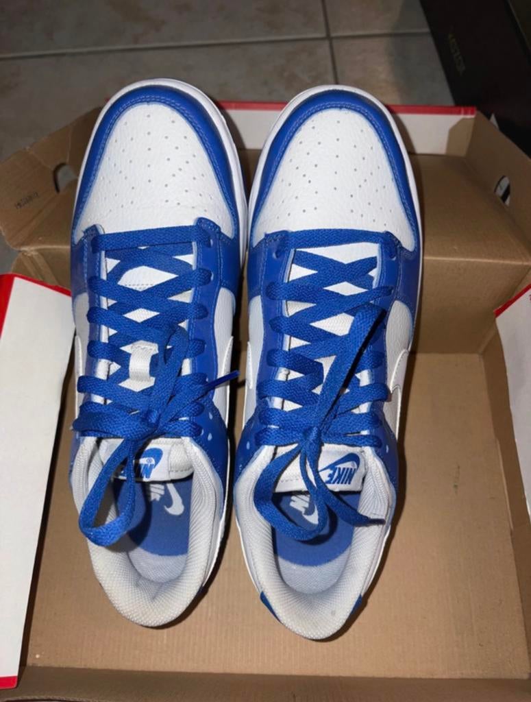 Nike dunk low blue (43), Ophalen, Zo goed als nieuw