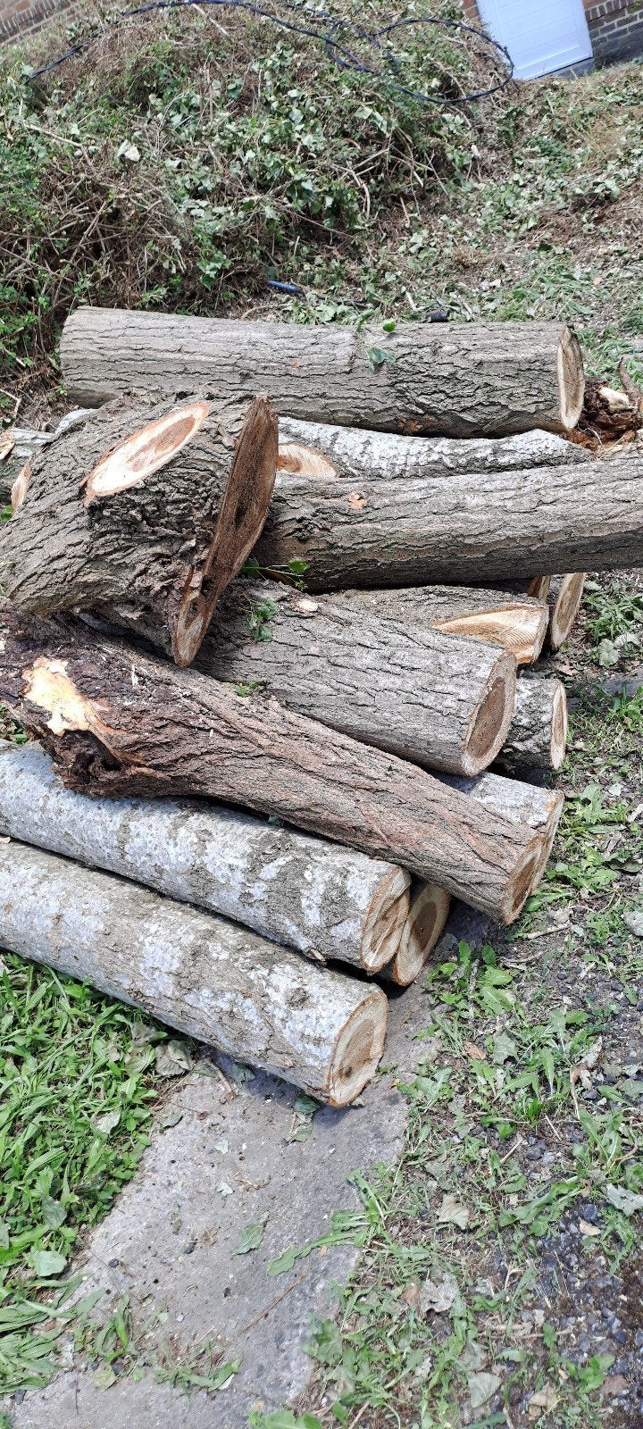 Bois a brûler 3 stère +avec tronçonneuse a retirer rapide🔥, Tuin en Terras, Brandhout, Ophalen