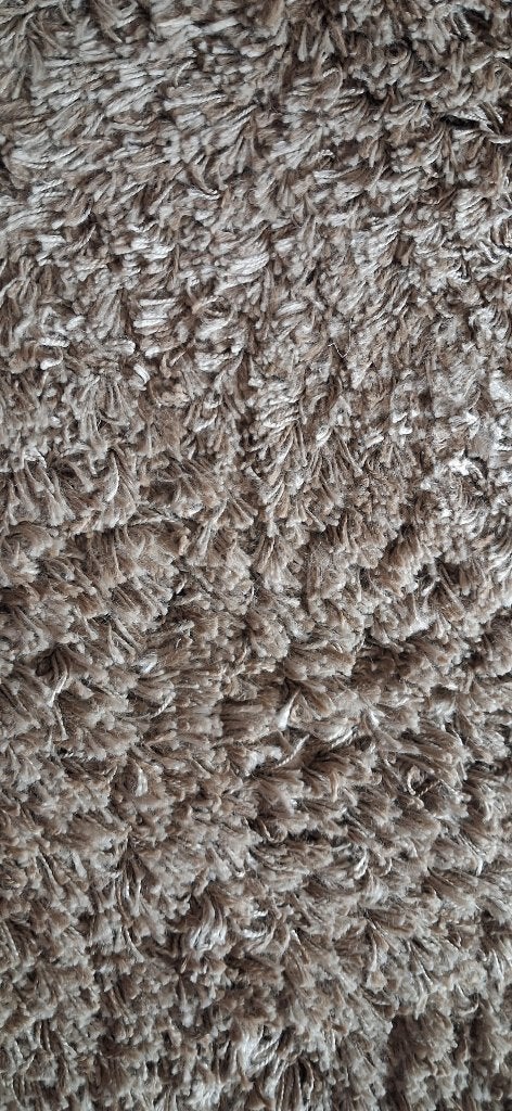 tapijt super shaggy 200 x 290 hoogpolig ,beige, Ophalen, Gebruikt, Beige, 200 cm of meer