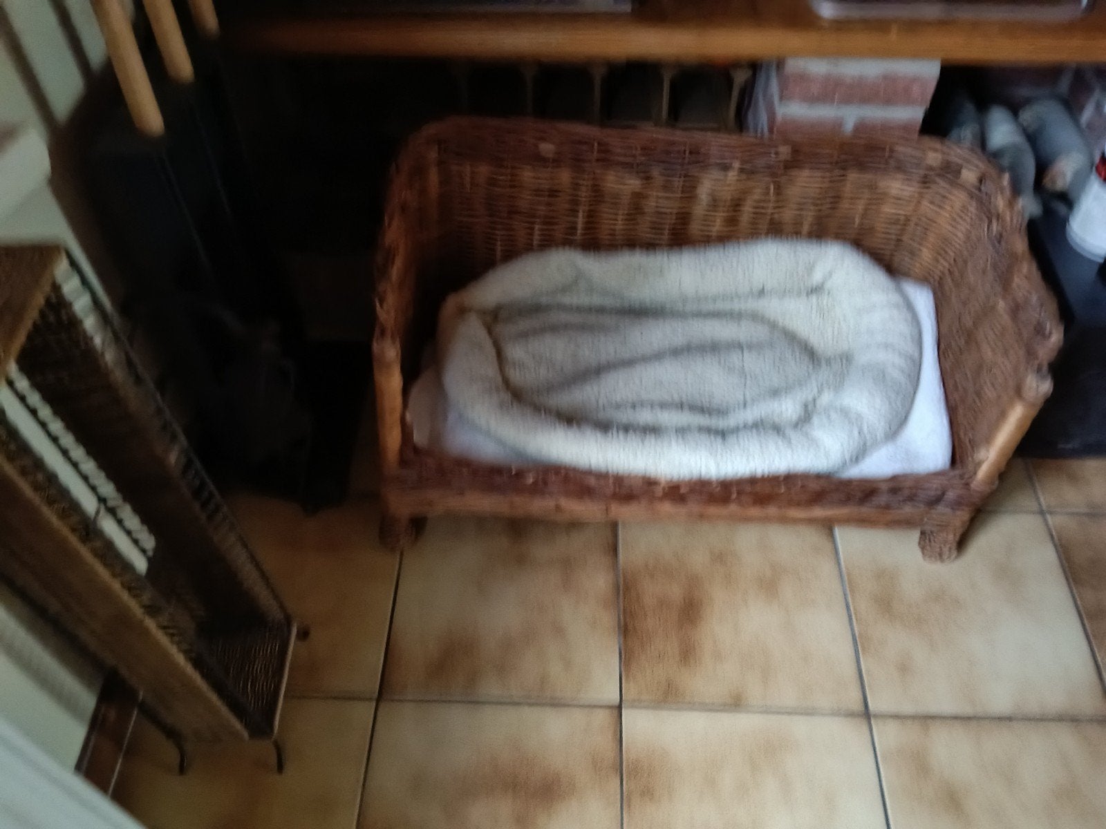 Honden zetel, Dieren en Toebehoren, Ophalen of Verzenden