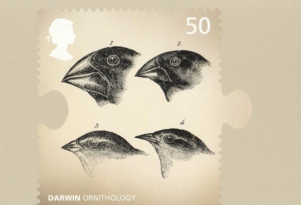 DARWIN  VINKEN, Envoi, Non affranchie, Oiseaux