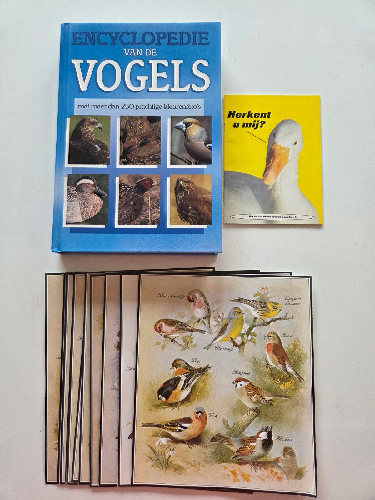 Encyclopedie van de Vogels, Livres, Encyclopédies, Enlèvement ou Envoi, Comme neuf