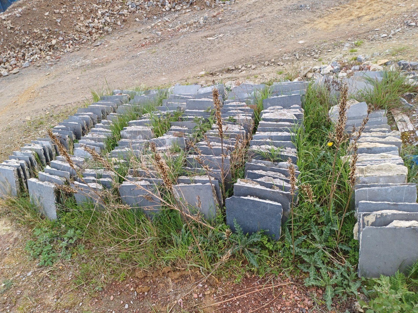 Pierre, Bricolage & Construction, Enlèvement