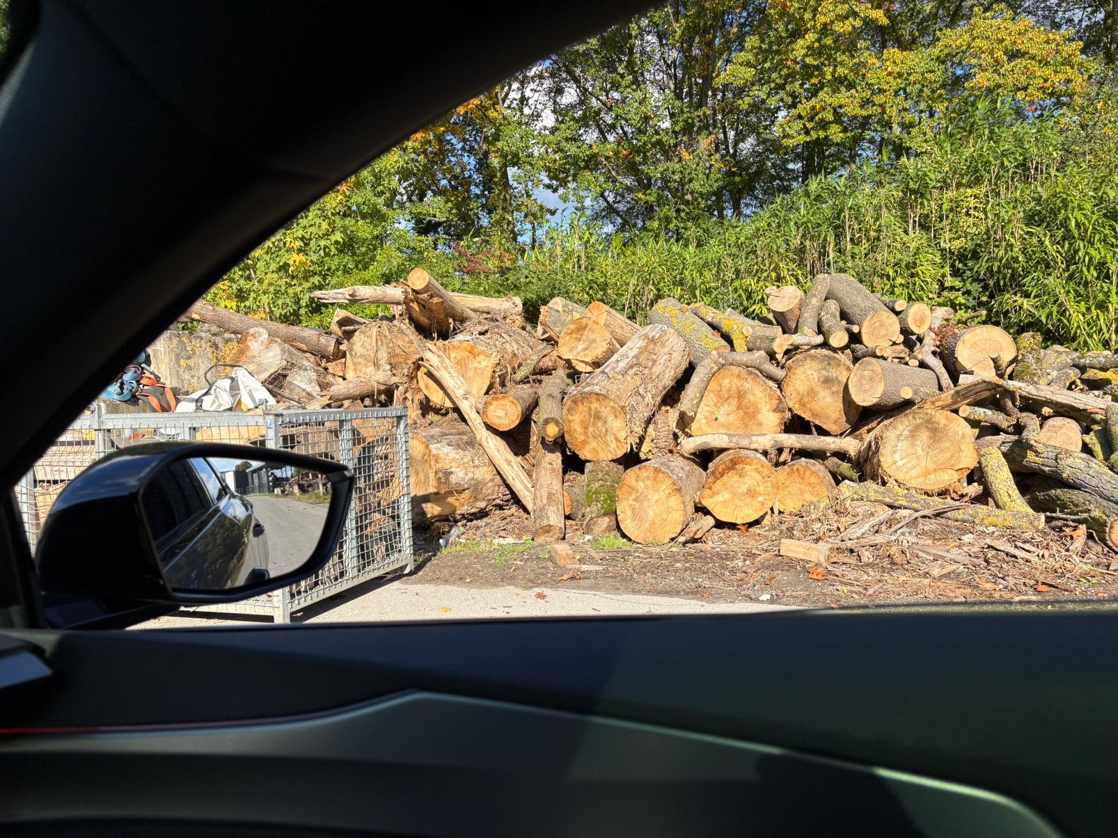 Stookhout. Vooral eik en beuk, 6 m³ ou plus, Enlèvement, Chêne, Troncs d'arbres