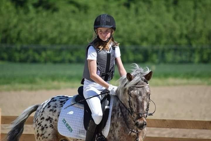 Leuke C pony, Enlèvement