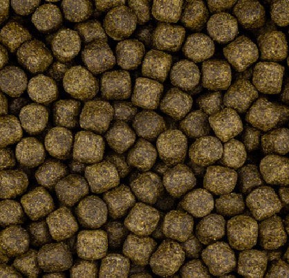 Koi Food Color Pro 3/6 mm, Animaux & Accessoires, Poissons | Poissons d'étang, Carpe ou Koï