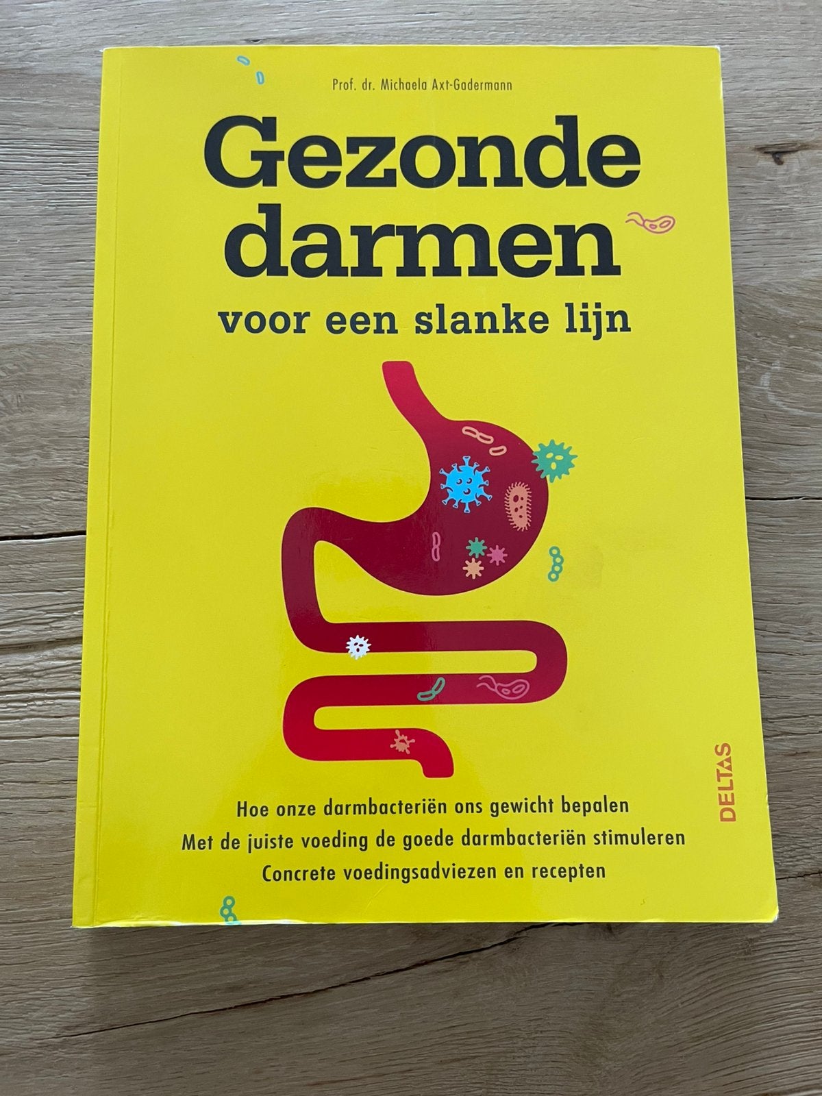 Gezonde darmen voor een slanke lijn, Livres, Santé, Diététique & Alimentation, Enlèvement, Michaela Axt-Gadermann