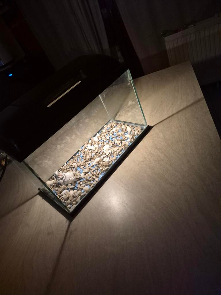 Petit aquarium, Enlèvement