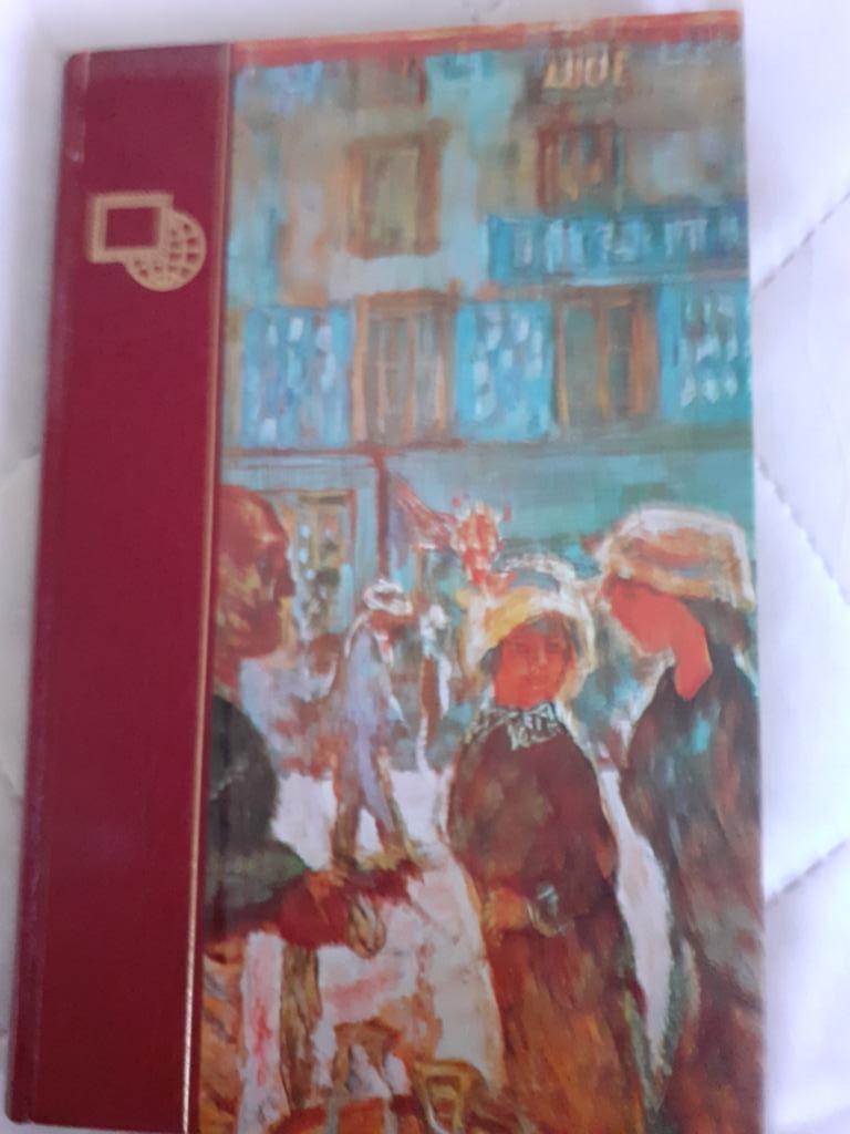 Livre : Le Post-Impressionnisme, Peinture et dessin, Enlèvement ou Envoi, Michel Claude JALARD, Comme neuf