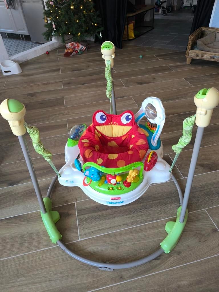 Rainforest - Jumperoo (Fisher Price), Enlèvement