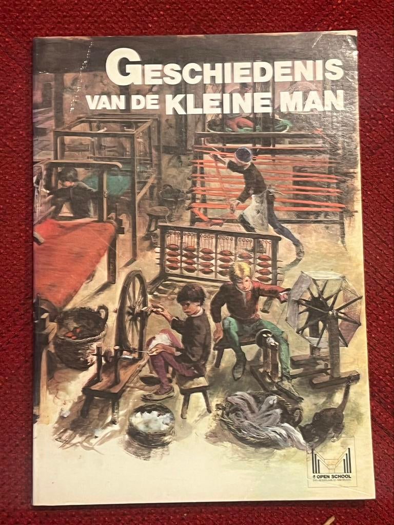 Boek - De Geschiedenis Van De Kleine Man, Ophalen, Zo goed als nieuw