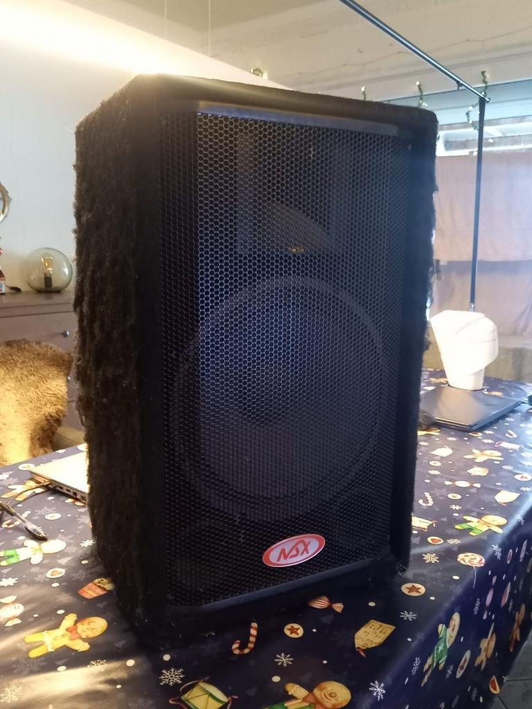 RSX Pro 1 300 watts, TV, Hi-fi & Vidéo, Enceintes, Enlèvement, Utilisé
