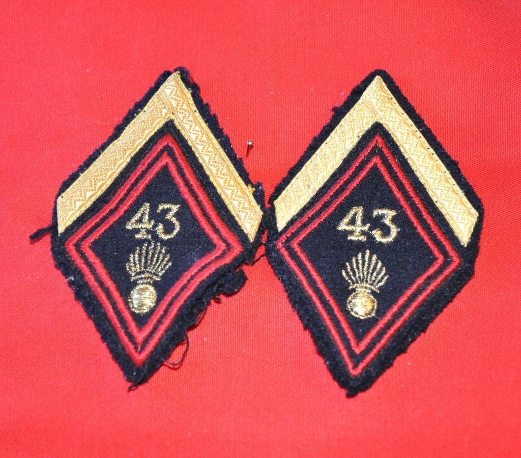2 badges grade bras 43eme regiment d'infanterie, Enlèvement ou Envoi, Armée de terre, Emblème ou Badge
