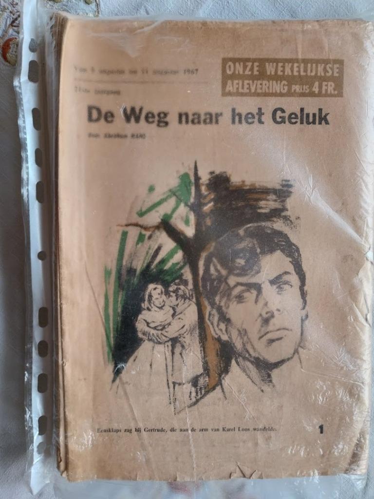 Boek " De weg naar het geluk "  ( A.Hans ), Ophalen of Verzenden, Gelezen, België