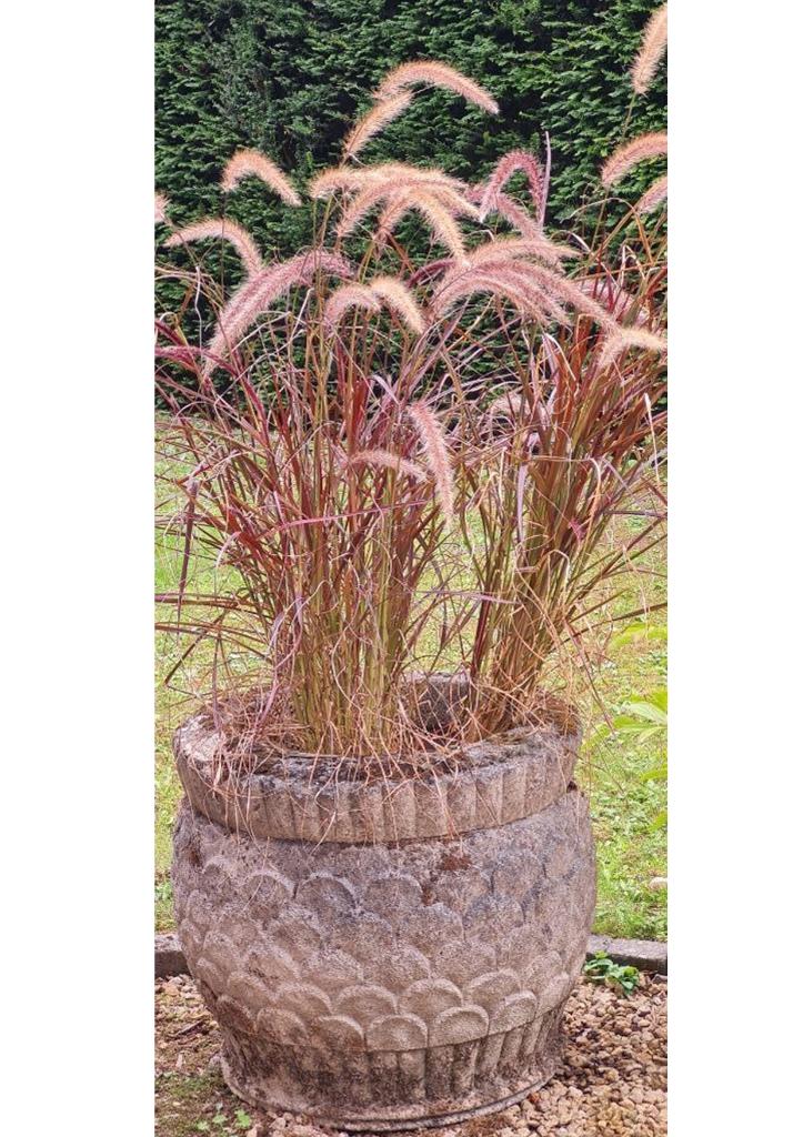 Jardinière XL Haddonstone UK Garden, antiquités CASTLE DECO, Enlèvement, Utilisé