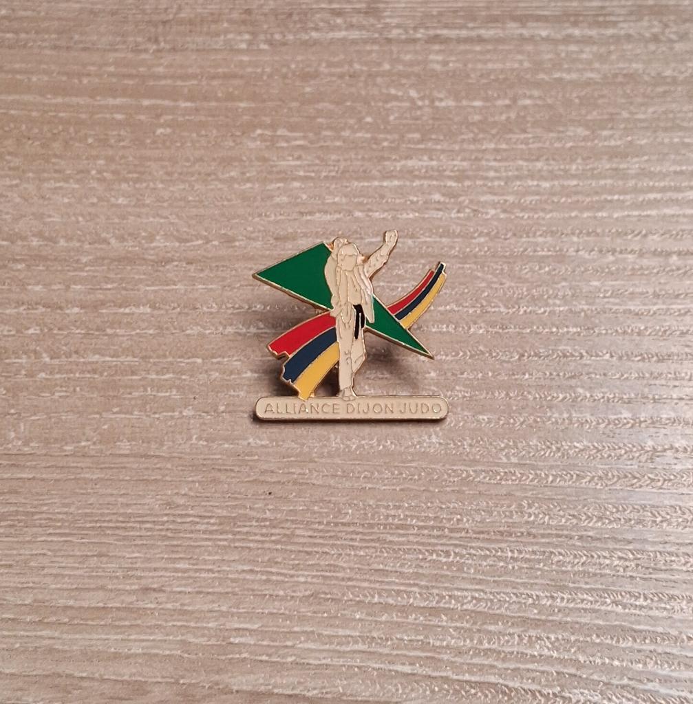 PIN - ALLIANCE DIJON JUDO - VECHTSPORT, Envoi, Utilisé, Sport, Insigne ou Pin's