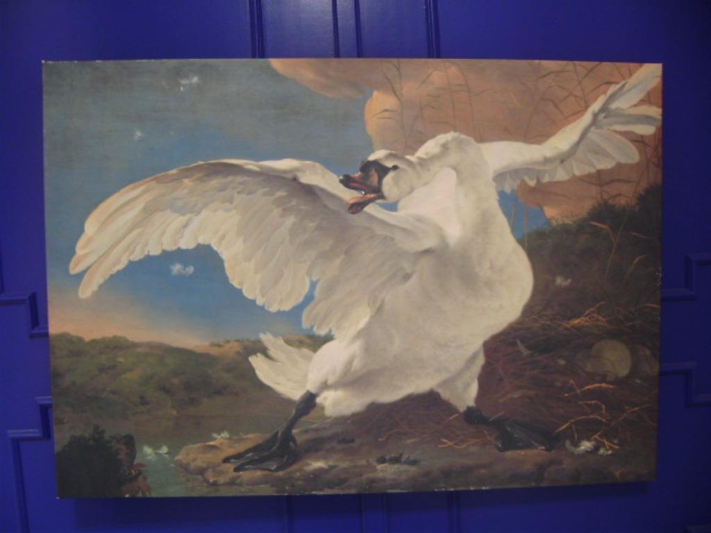 >>> DE BEDREIGDE ZWAAN <<< door JAN ASSELIJN  Dig op canvas, Antiek en Kunst, Ophalen