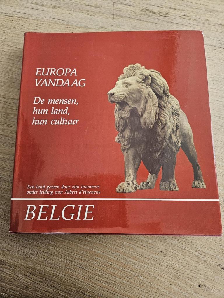 België (de mensen hun land, hun cultuur), Livres, Art & Culture | Arts plastiques, Enlèvement ou Envoi, ARTIS HISTORIA, Comme neuf
