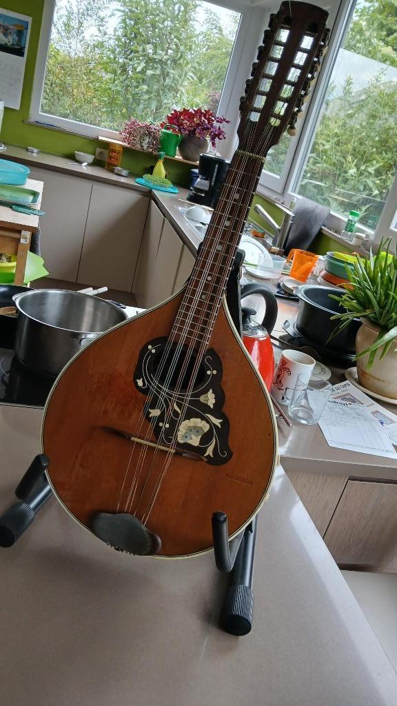 magnifique mandriole vintage en parfait état, Musique & Instruments, Instruments à corde | Mandolines, Utilisé, Enlèvement