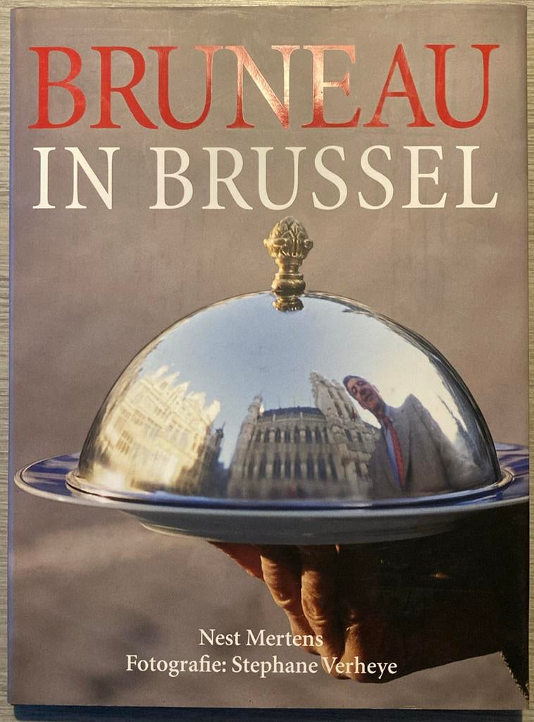 N. Mertens - Bruneau in Brussel, Ophalen of Verzenden, Zo goed als nieuw, N. Mertens; J.P. Bruneau