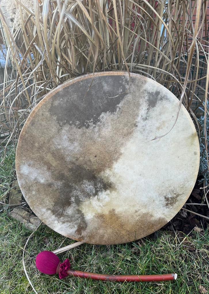 Sjamaan drum Hert ( perkament) 50 cm. met drumstok., Ophalen of Verzenden, Nieuw