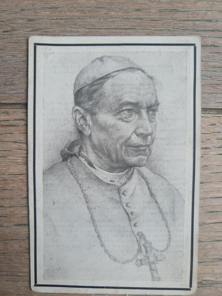 Bp : 12de bisschop van Brugge, Rollegem 1847 - Brugge 1931, Verzamelen, Ophalen of Verzenden