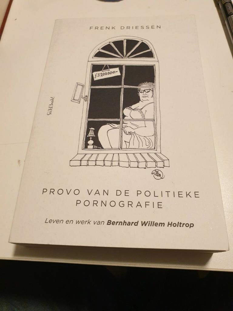 Frenk Driessen - Provo van de politieke pornografie. Holtrop, Ophalen of Verzenden, Zo goed als nieuw, Frenk Driessen