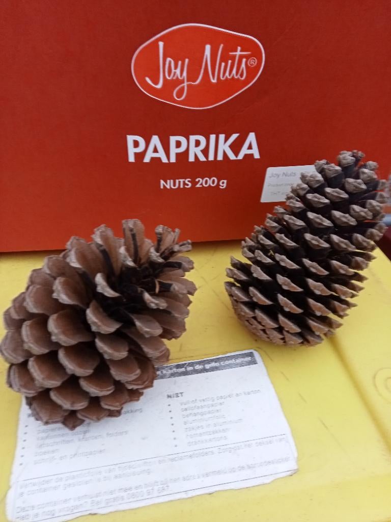 Dennenappels, grote dennenappels, Diversen, Kerst, Ophalen, Nieuw