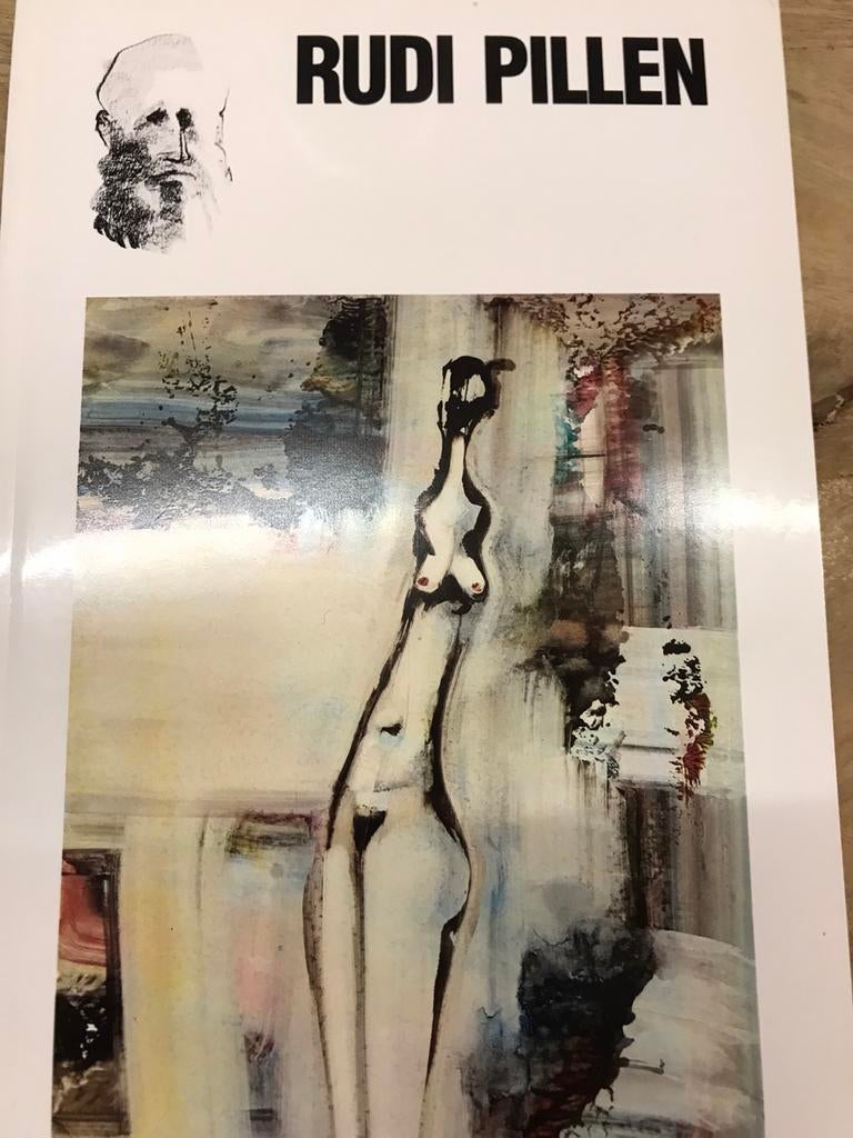 Rudi Pillen schilderijen aquarellen 80pag, Ophalen of Verzenden, Zo goed als nieuw, Schilder- en Tekenkunst