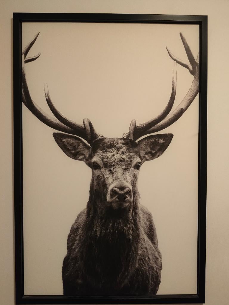 Ikea hert schilderij/lijst, 75 cm ou plus, Enlèvement, Utilisé, 50 à 75 cm