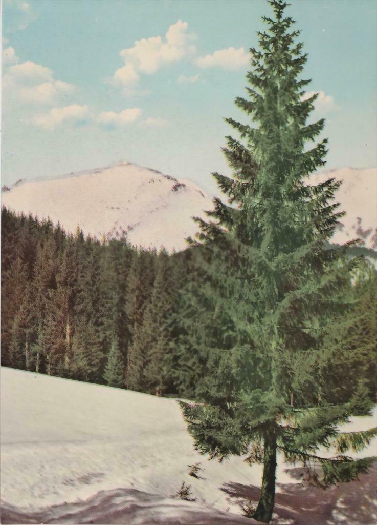 Set vintage postkaarten uit Bulgarije jaren 1960, Ophalen of Verzenden, 1960 tot 1980, Ongelopen, Overig Europa
