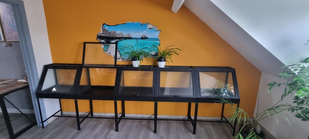 Display kast, wand kast, vitrine kast, 25 à 50 cm, Comme neuf, Verre, Enlèvement