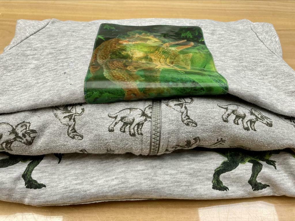 Truitjes dino’s maat 4-5 jaar, Ophalen of Verzenden, Gebruikt, Jongen, Trui of Vest