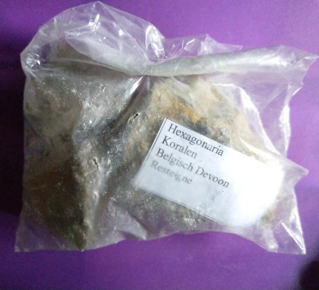 Hexagonaria koralen, Enlèvement ou Envoi