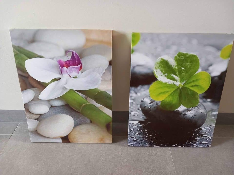 2 canvassen klaver en orchidee, Ophalen, Zo goed als nieuw, Minder dan 50 cm, Overige typen