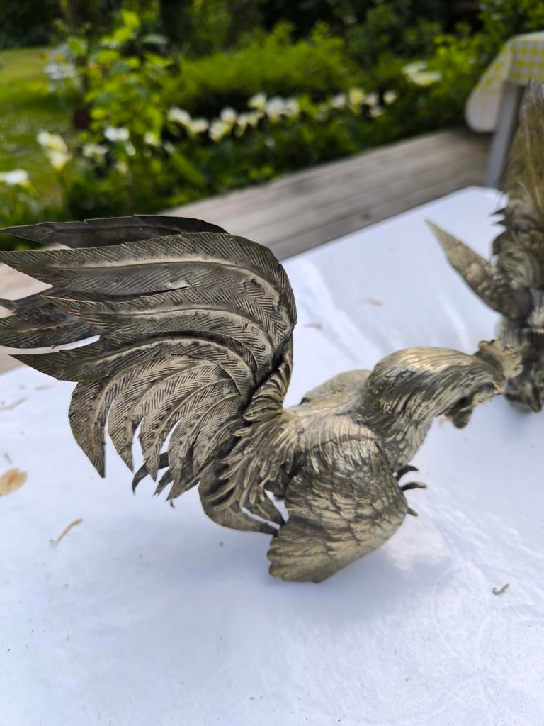 2 verzilverde  hanen in uitstekende staat, Dieren en Toebehoren, Vogels | Overige Vogels