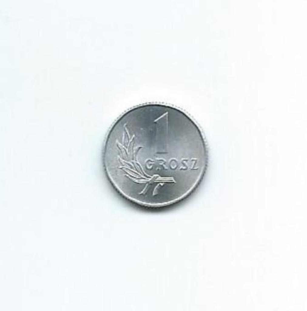 Polen, 1 Grosz 1949., Enlèvement ou Envoi, Pologne, Monnaie en vrac