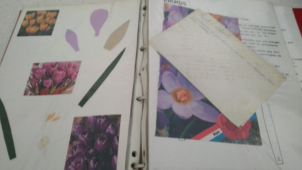Patronen dieren en bloemen, Enlèvement ou Envoi, Utilisé