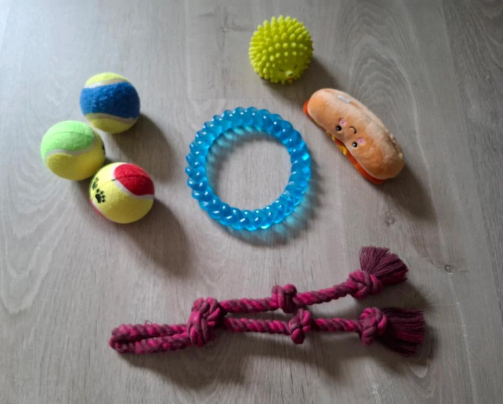 Jouets pour chien, Animaux & Accessoires, Jouets pour chiens, Enlèvement, Comme neuf, Autres jouets