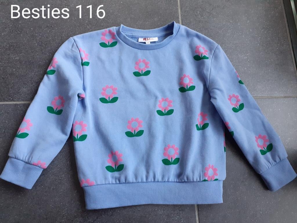 Trui Besties maat 116 (speelkledij), Kinderen en Baby's, Kinderkleding | Maat 116, Gebruikt, Meisje, Trui of Vest, Ophalen of Verzenden