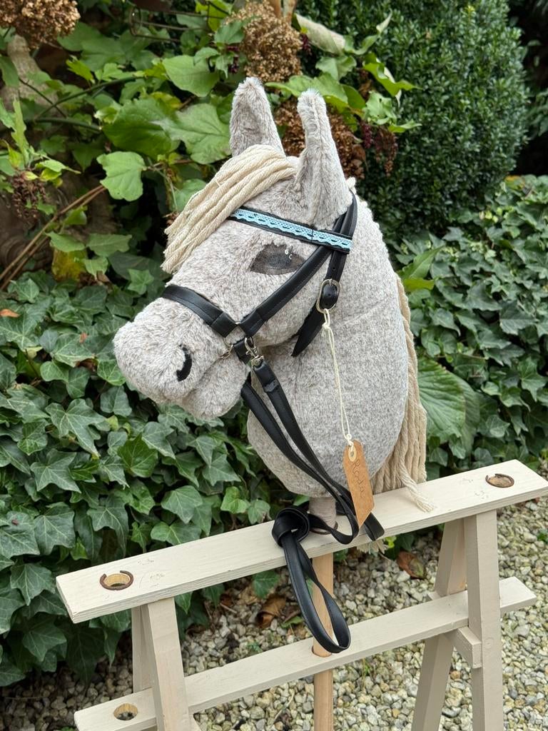Hobby Horse Roda, Enlèvement