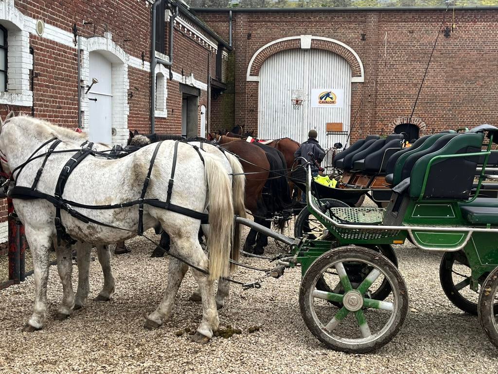 Menspaarden, Ophalen