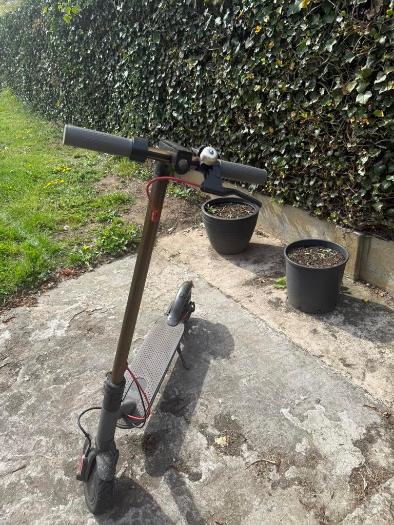 Elektrische step, Ophalen, Gebruikt
