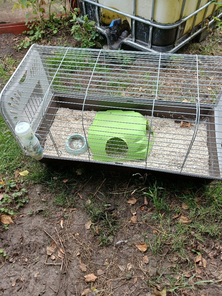 Grande cage cochon d inde ou autre rongeur, Enlèvement, Cage