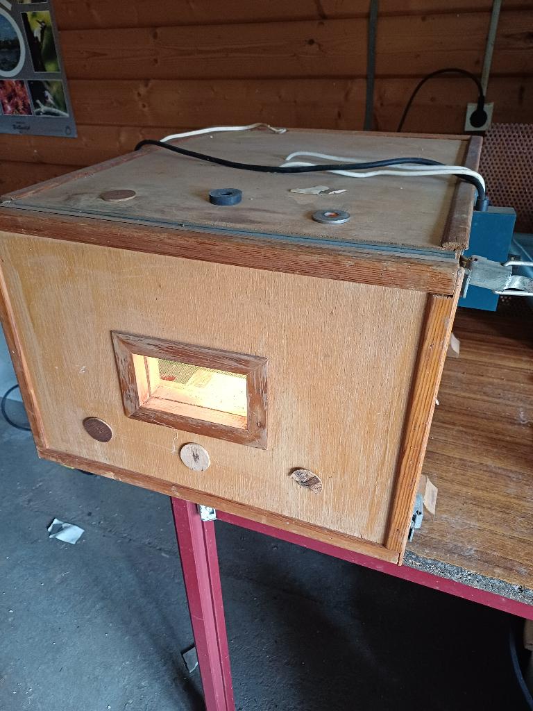 broedkast, Dieren en Toebehoren, Pluimvee | Toebehoren, Ophalen, Gebruikt, Broedmachine