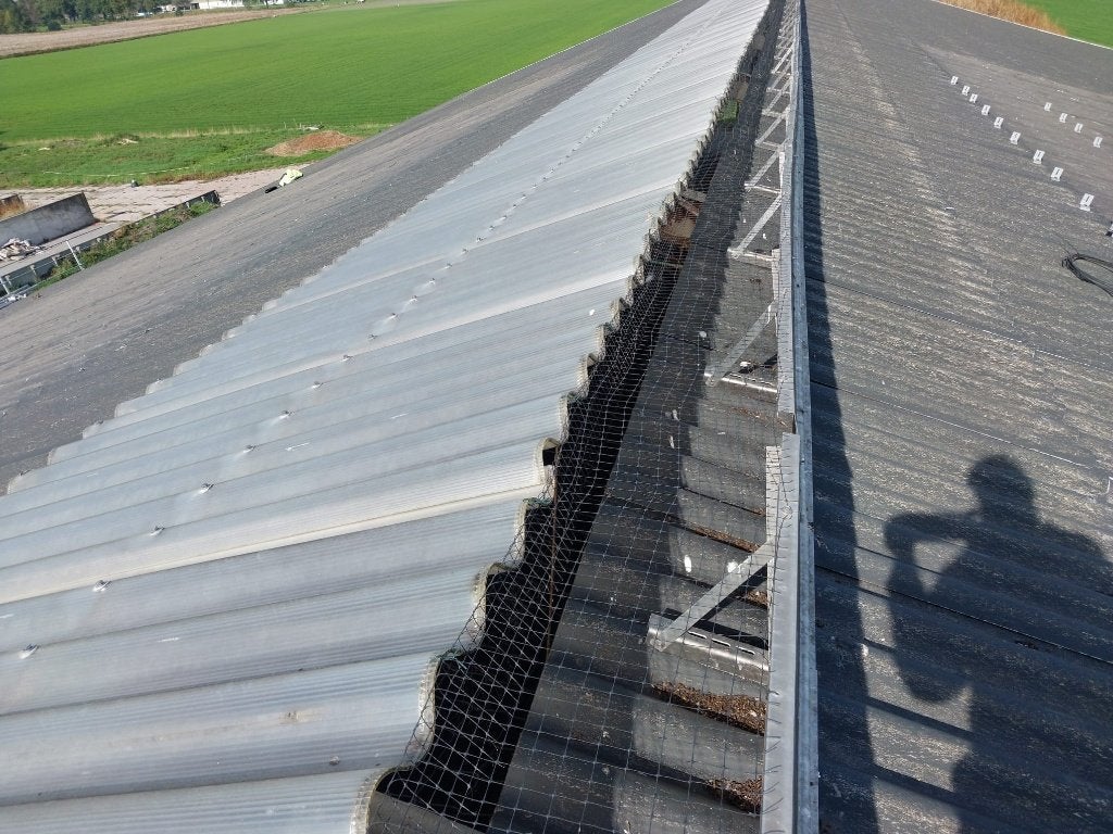 Oostra oversteeknok, Articles professionnels, Agriculture | Immobilier agricole, Enlèvement, Autres destinations