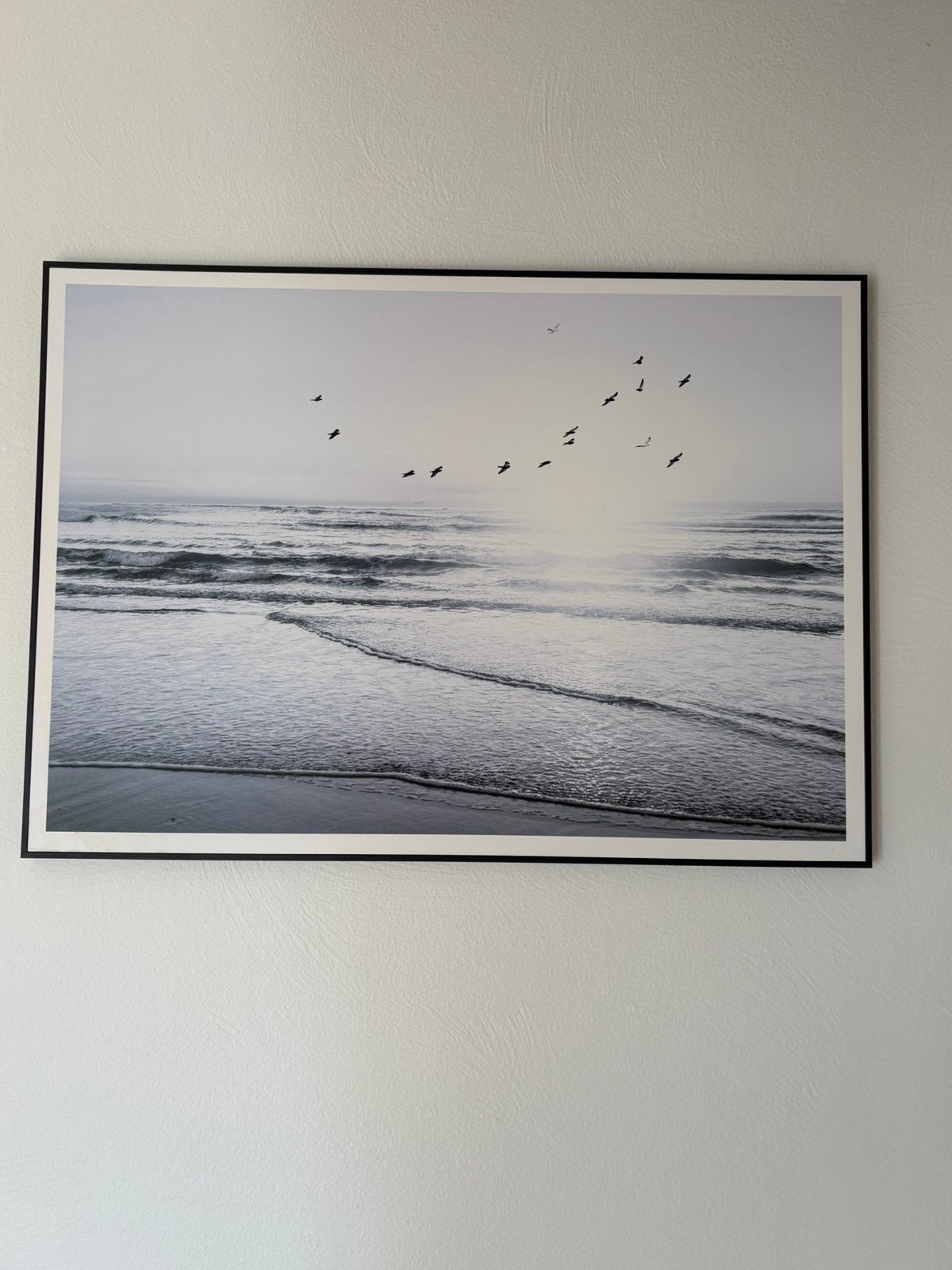 Canvas, Ophalen